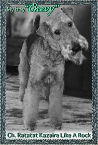 Airedale Terrier Chevy B&W.jpg